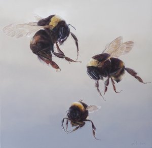 Voo de Bombus 1, 2011 (acrílico sobre madeira) de Odile Kidd