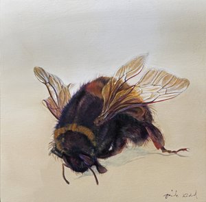 Bombus terrestris 10, 2013 (acrílico sobre madeira)