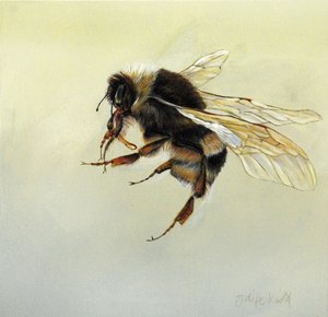 Bombus terrestris 4, 2011 (acrílico sobre madeira) de Odile Kidd