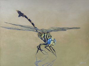 Mosca do dragão, 2009 (acrílico sobre madeira)