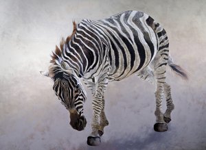 Equus burchelli 2, 2010 (acrílico sobre tela) de Odile Kidd