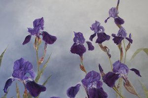 Iris hybrida (pormenor), 2015 (acrílico sobre madeira revestida a gesso)