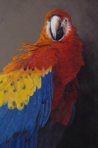 Arara-vermelha 3 (pormenor), 2014 (acrílico sobre linho) de Odile Kidd