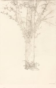 Árvore de Odilon Redon