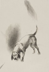 Ele [o cão do narrador] mantinha os olhos fixos em mim com um olhar tão estranho, placa 3 de 6 de Odilon Redon