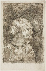 Cabeça de uma jovem rapariga (título do compilador) de Odilon Redon