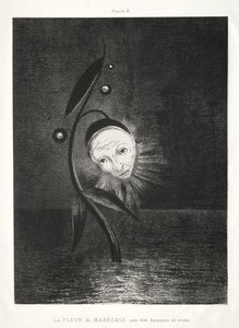 Homenagem a Goya: A Flor do Pântano, uma Cabeça Humana Triste, 1885. de Odilon Redon
