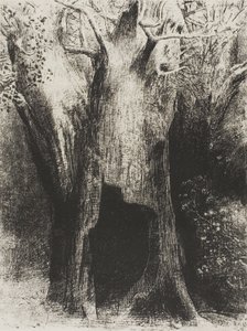 Mergulhei na Solidão. Eu morava na árvore atrás de mim, placa 9 de 24 de Odilon Redon