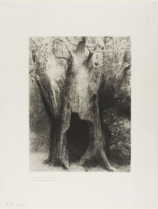 Mergulhei na Solidão. Eu morava na árvore atrás de mim, placa 9 de 24 de Odilon Redon