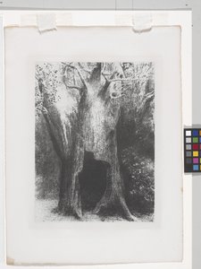 Je Me Suis Enfoncé Dans La Solitude (litografia em papel de apliques chineses) de Odilon Redon