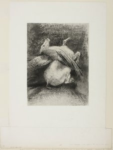 A asa impotente não levantou o animal para aquele espaço negro, placa 7 de 8 de "Les Origines" de Odilon Redon