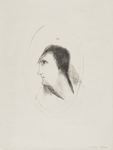 A Largura e Planicidade do [Osso] Frontal], placa 6 de 6 de Odilon Redon