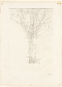 Árvore de Odilon Redon