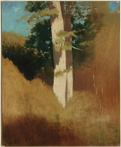 Árvore com céu azul de Odilon Redon