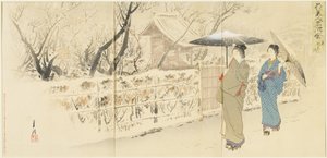 Ameixa de Garyo_bai em Kameido, dezembro de 1895 de Ogata Gekko