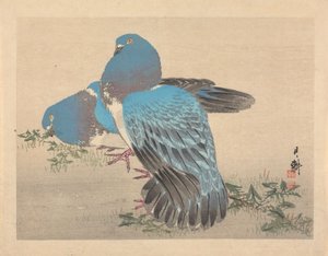  de Ogata Gekko
