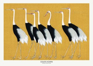 Grou-de-coroa-vermelha-japonês