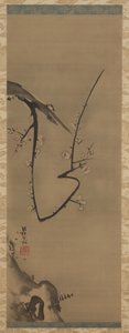 Prunus, rolo suspenso, c.1700 (tinta na seda) de Ogata Korin