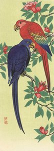 Um Papagaio Vermelho e um Papagaio Azul, do artista japonês Ohara Koson de Ohara Koson