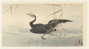 Cormorante com peixe de Ohara Koson