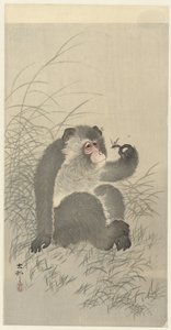 Macaco com insecto de Ohara Koson