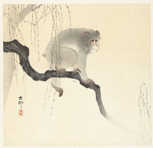 Macaco sobre ramo de árvore de Ohara Koson