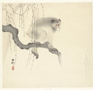 Macaco sobre ramo de árvore de Ohara Koson