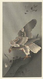 Águia à espreita de presas de Ohara Koson