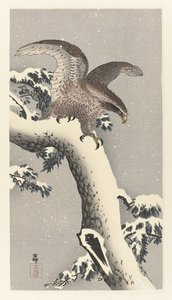 Águia no pinheiro nevado de Ohara Koson