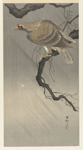 Águia no ramo de Ohara Koson