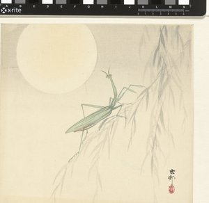 Louva-Deus de Ohara Koson