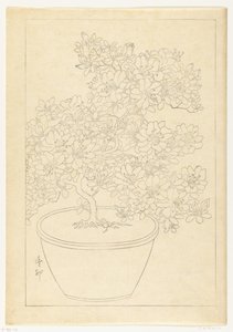 Flor de azaléia em vaso de Ohara Koson