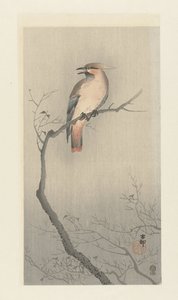 Asa de cera da Boémia num ramo de Ohara Koson