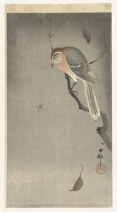 Grito de búfalo e aranha de Ohara Koson