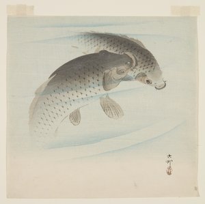 Carpa (Koi) (impressão em bloco de madeira a cores) de Ohara Koson