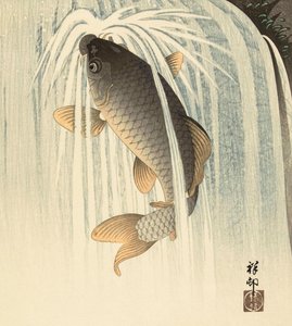 Carp Under a Waterfall, do artista japonês Ohara Koson de Ohara Koson