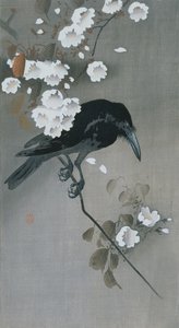 Corvo num ramo de Cerejeira em Flor de Ohara Koson