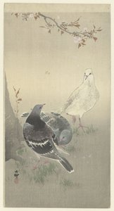 Três pombos mansos de Ohara Koson