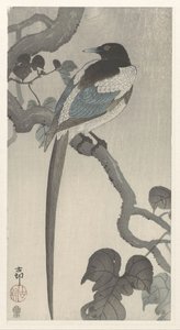 Pega em ramo de árvore de Ohara Koson