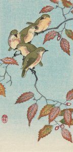 Cinco Pequenas Aves num Galho, do artista japonês Ohara Koson de Ohara Koson