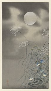 Gramíneas e flores na lua cheia de Ohara Koson