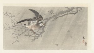 Estorninho cinzento na tempestade de Ohara Koson