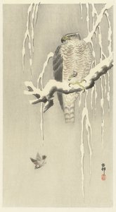 Falcão com pardal de capim em cativeiro. de Ohara Koson