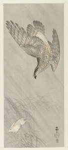 Lebre de caça Goshawk de Ohara Koson