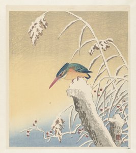 Martim-pescador na neve de Ohara Koson