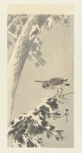 charlatão indiano em ramo de árvore com neve de Ohara Koson