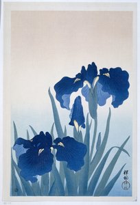 Íris de Ohara Koson