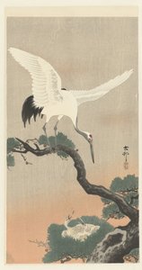Guindaste japonês sobre ramo de pinheiro de Ohara Koson