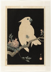 Cacatua com romã de Ohara Koson