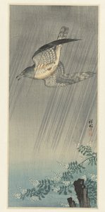 Cucu na tempestade de Ohara Koson